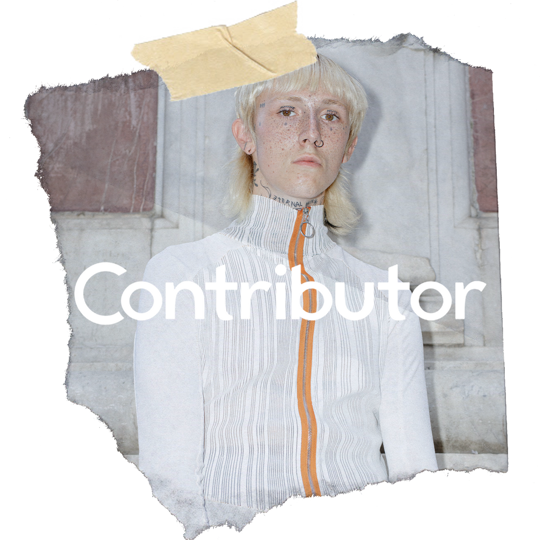 CONTRIBUTOR